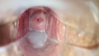 Female Orgasm Captured In A Close-Up Of Vagina And Clit